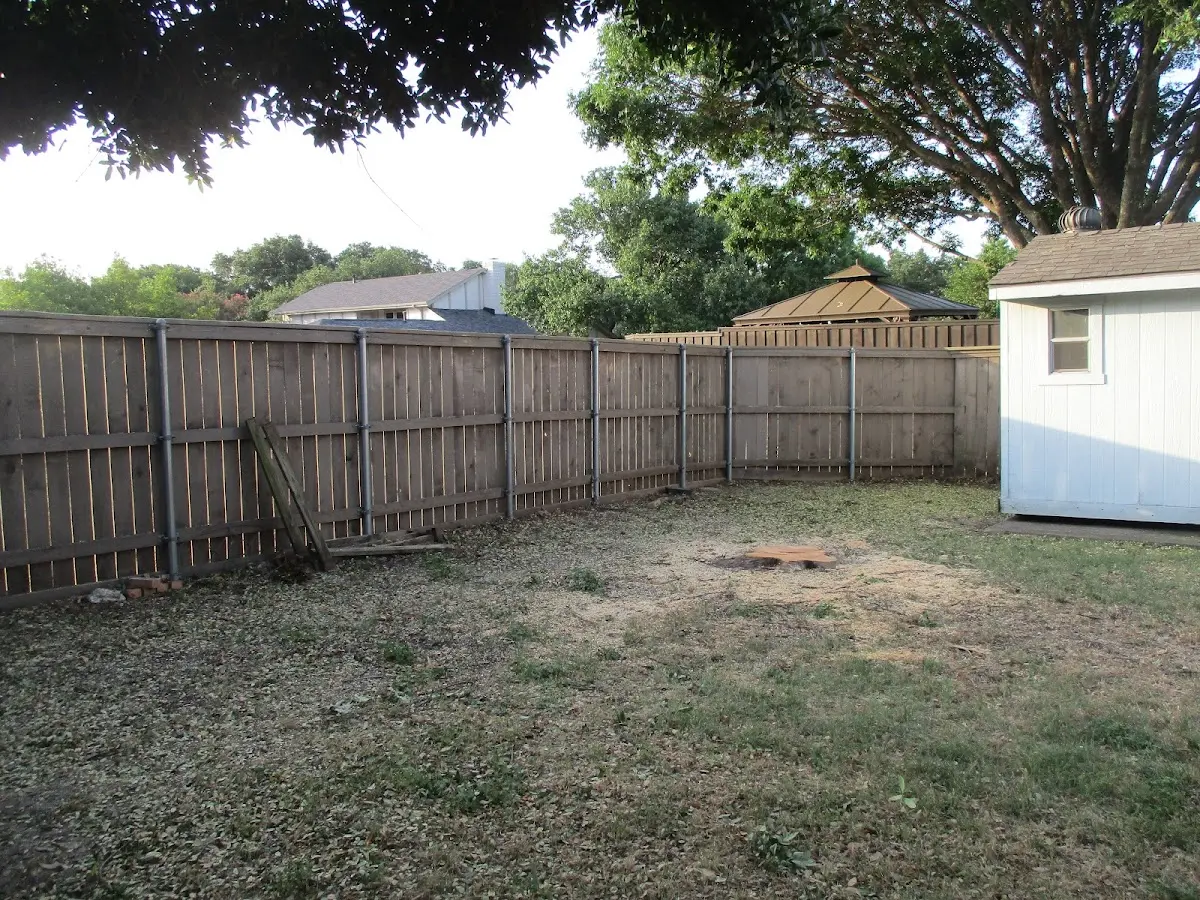 Cleared yard after professional tree removal in Sulphur Bluff